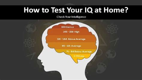 how can i check my iq for free